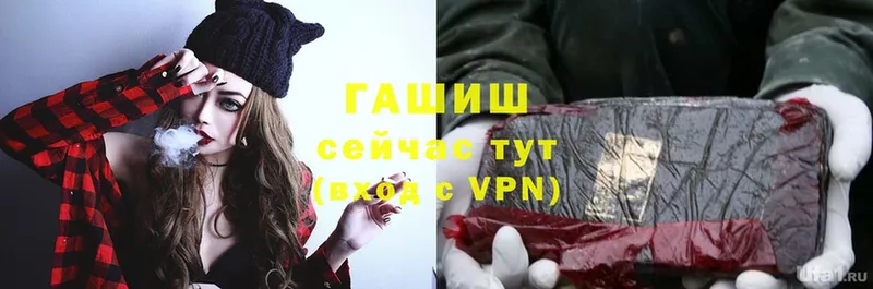 купить   Пестово  Гашиш Premium 